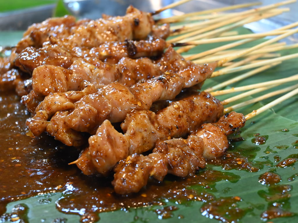 Chicken Satay Skewers